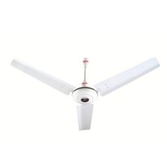 Royal Ceiling Fan Premium Deluxe Fan 56 Long Lasting Motor Noiseless Brand Warranty (HAM MALL APPLIANCES)